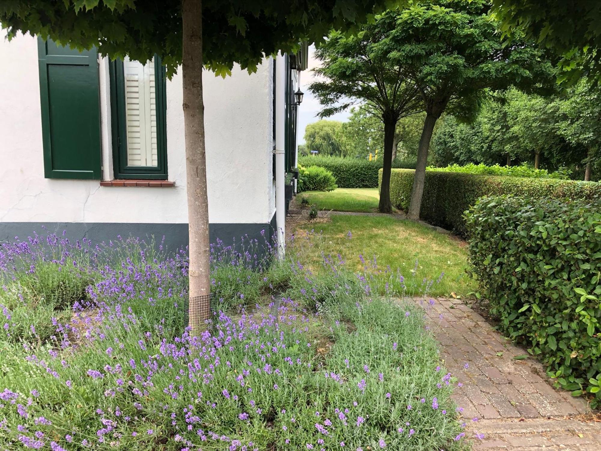 B&B De Tol Hulst Exterior photo