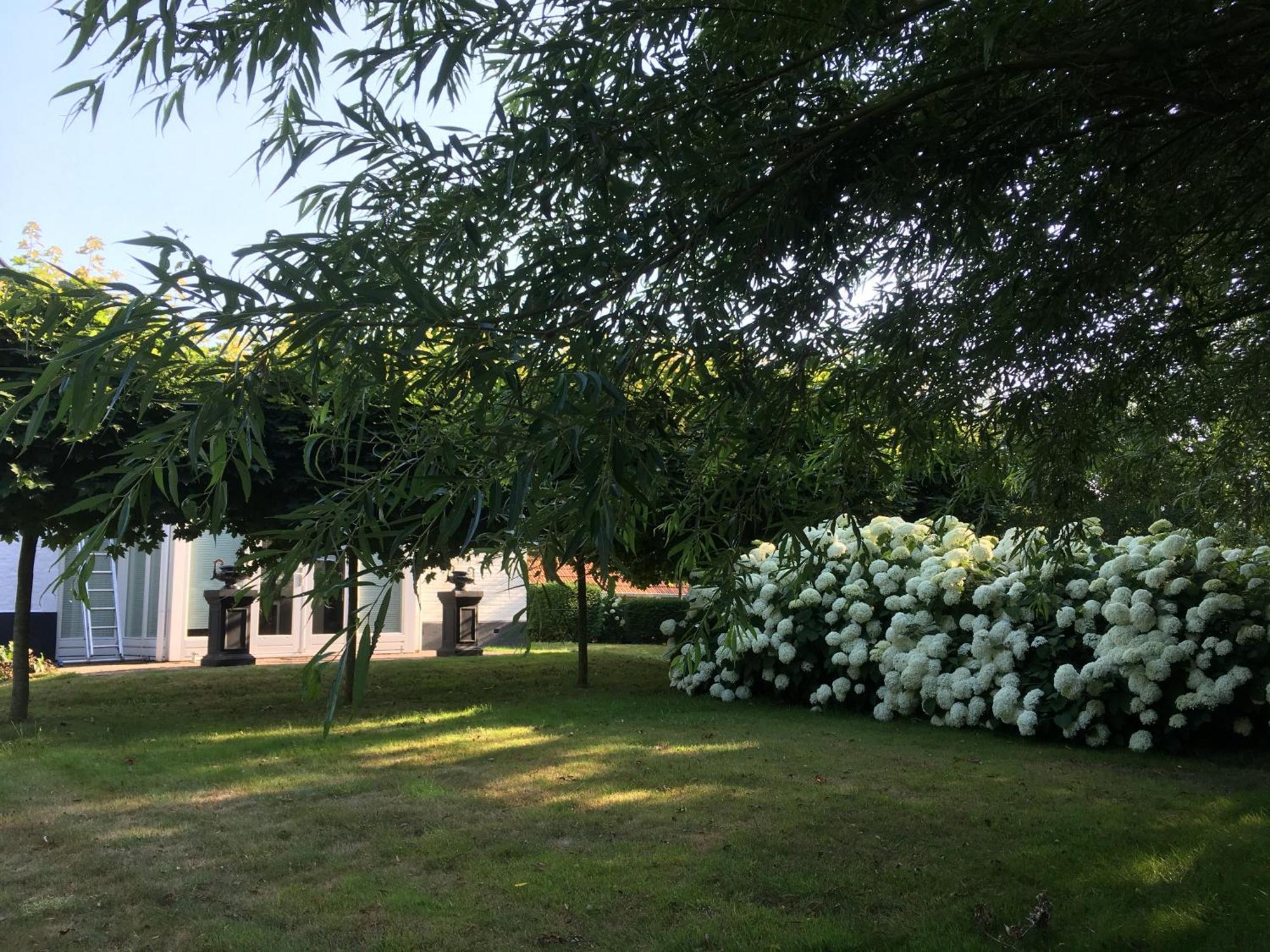 B&B De Tol Hulst Exterior photo